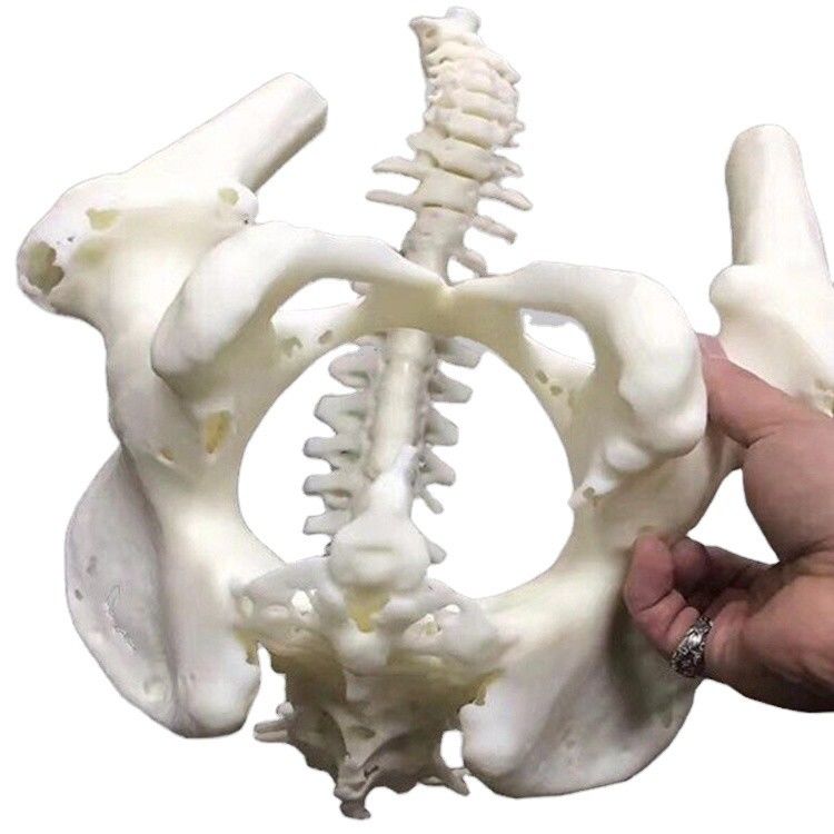 Custom ABS 3D Printing Service – Mass-Production OEM & Rapid Prototyping