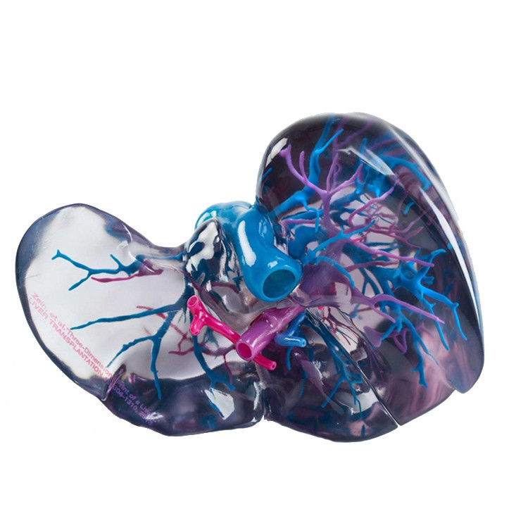 RESIN Material Full Color 3D Printing Polyjet For Medical Prototype STL Files