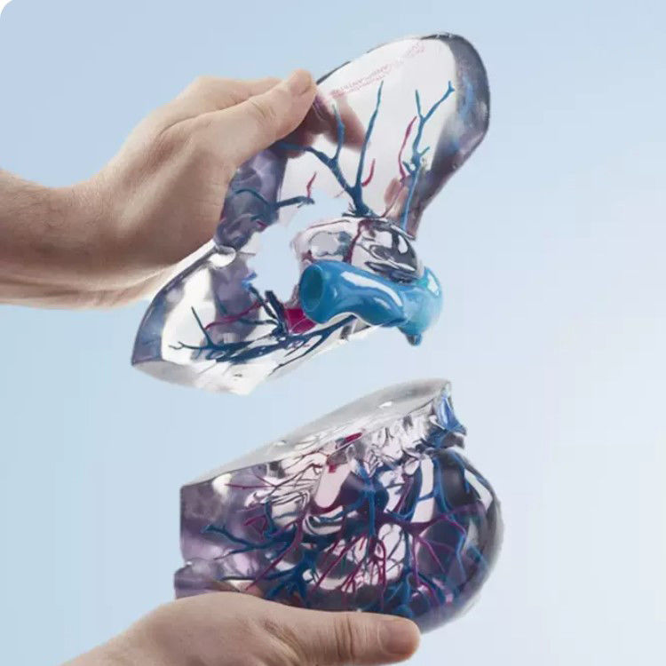 RESIN Material Full Color 3D Printing Polyjet For Medical Prototype STL Files