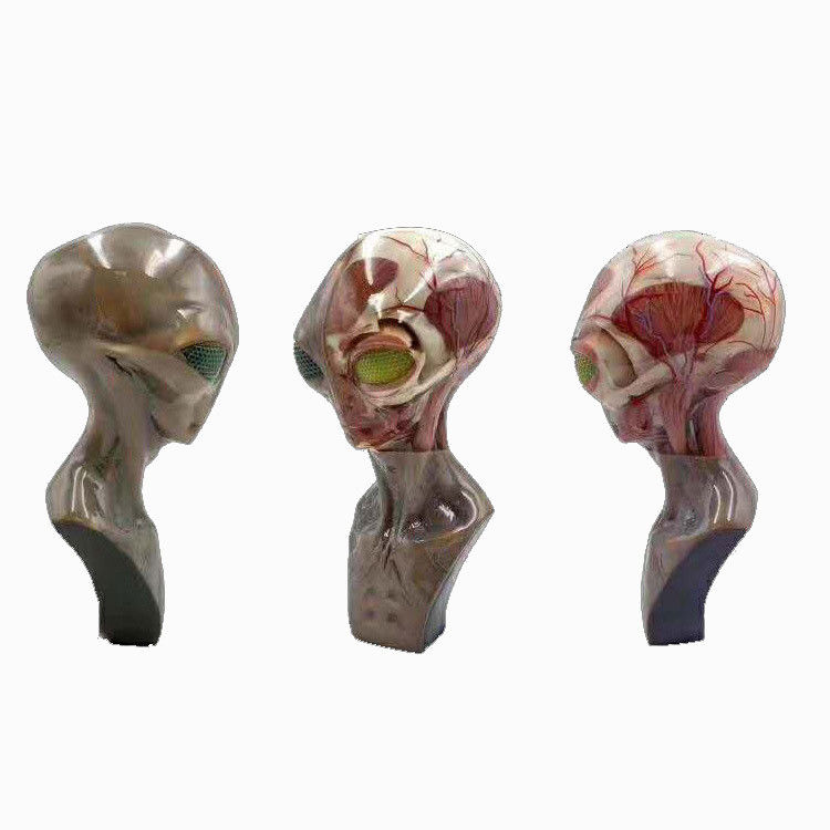 High Resolution Multicolor 3d Printing Service Medical With SLM Process
