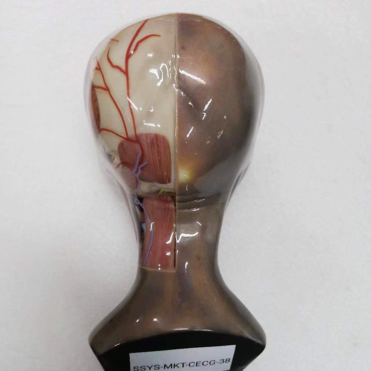 Plastic RESIN Multi Color 3d Printing Service Integrated Coating Surface